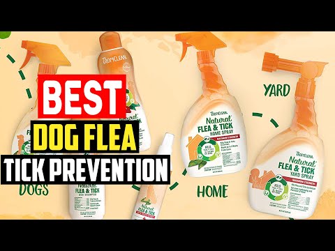 ✅Best dog flea tick prevention in 2023