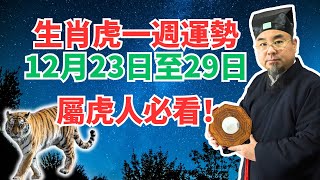 命理測算：屬虎人一週運勢（12月23日至29日），內含吉凶日，非看不可！ #生肖虎2025年運勢 #生肖虎2025年運程 #屬虎人2025年運勢 #屬虎人2025年運程