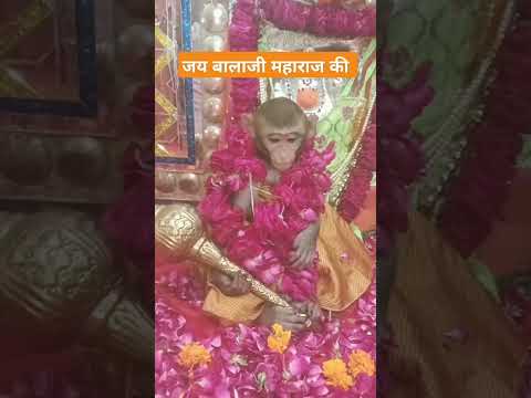 Aarti Kije Hanuman lala ki 🙏🏻 #trending #shorts #hanuman #viralshorts