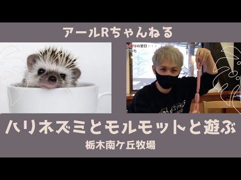 【栃木】動物さんと戯れ、チーズ・ソーセージ作りを体験するアールR氏