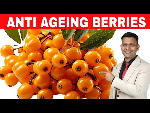 Anti-ageing Superfood Fight Wrinkles boost collagen - Dr. Vivek Joshi