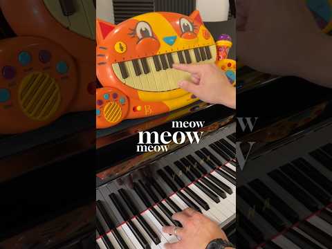 Meow Meow Sad Song on a cat piano #meow #miawmiaw