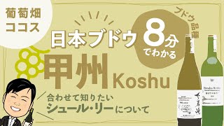 【ワイン初心者】日本ワインを代表するブドウ品種「甲州 Koshu」がほぼ山梨県産な理由とは？【シュール・リー】【ブドウ品種基礎知識⑨】