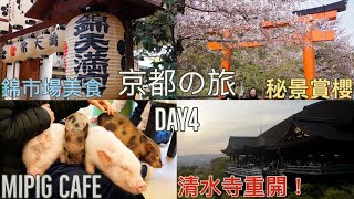 [京都之旅Day4] 秘景賞櫻花?！ 真係無人？櫻花任影？| 錦市場食食食 | 迷你豬cafe  | 哲學之道散步到蹴上傾斜鐵道 | 參觀修繕的清水寺!