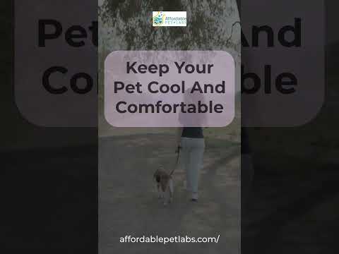 Keep Your Pet Cool and Comfortable