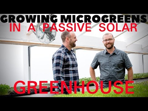 Urban Farm, Passive Solar Greenhouse For Microgreens