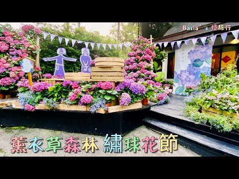 2023薰衣草森林｜繡球花節｜繡球花傘｜香草市集｜帶您走一趟療癒的森林