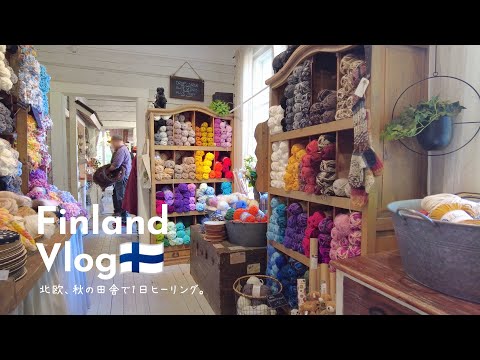 Finland autumn vlog🍂country side cafe, shopping, knitting,  fall cooking 🍠