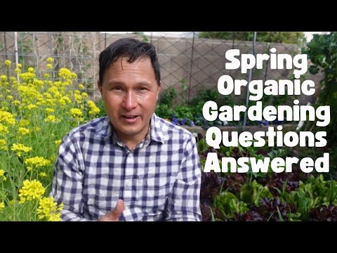 Answering Your Spring Organic Vegetable Gardening Questions