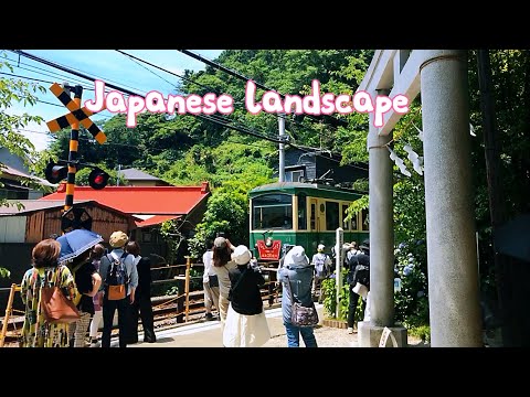 【日本旅行】2022 鎌倉散歩　御霊神社　成就院  由比ヶ浜