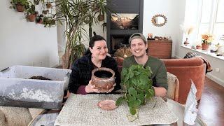 How to Repot Philodendron Cordatum (Heart Leaf Philodendron): Soil Recipe, Techniques, Placement