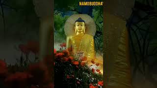 lord buddha beautiful status #shortvideo #BuddhaWhatsAppstatus 🌺🙏🏻🙏🏻🙏🏻🌺