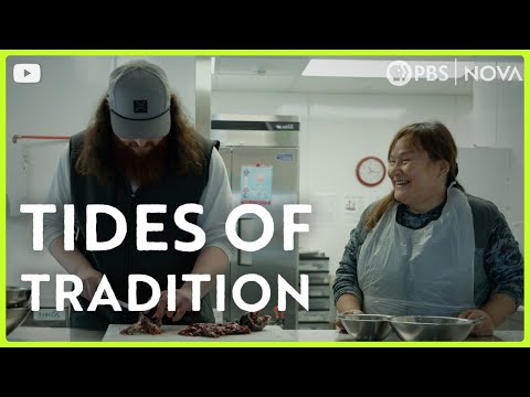 Tides of Tradition | Legacy of the Land | NOVA | PBS