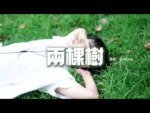 GooGoo - 兩棵樹『你說長大后要做外婆的樹，怎麼現在只顧走自己的路，那些誓言還在樹蔭下吹拂，難道是你兒時的口誤。』【動態歌詞MV】