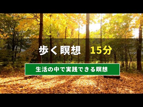 歩く瞑想 | 15分 | 生活の中で実践できる瞑想