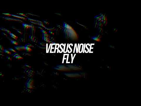 2024.12.15(日) SHAKE IT OFF   VERSUS NOISE -  FLY ライブ