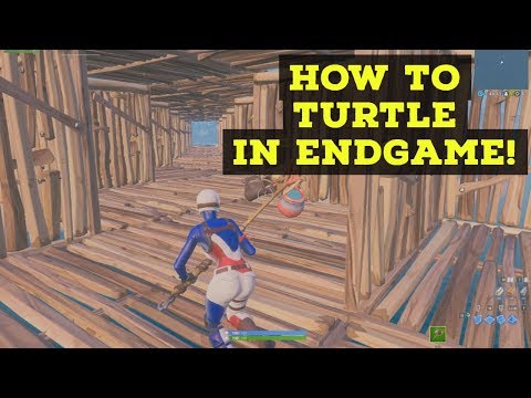 x8 | How to Turtle in endgame