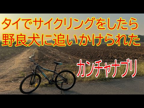 【クロスバイク】タイでサイクリング。カンチャナブリをポタリングすると、野犬4匹に追いまわされた。前日は。映画「戦場にかける橋」の舞台になった、クウェー川橋を、船と秦緬鉄道で観光。