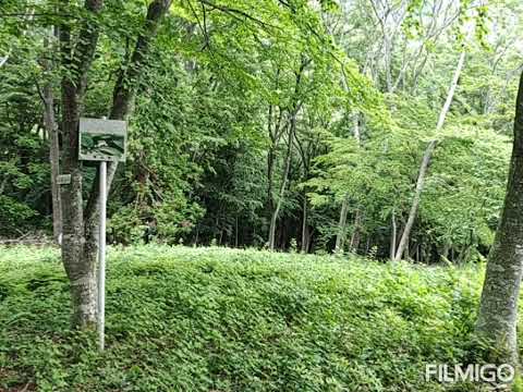 男鹿山～女鹿山　途中雨で断念😢（広島県世羅郡）