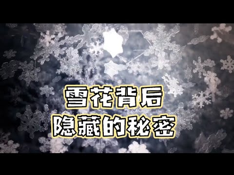 探秘雪花：大自然的冬日奇幻密码