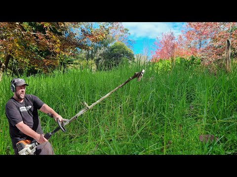 ELDERLY Man Shocked I Cleaned Up DANGEROUSLY Wet OVERGROWN Lawn | FlameThrowing & Weed Eating