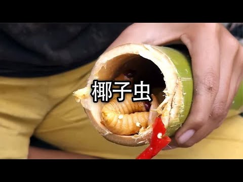 用竹筒焖烤出来的椰子虫，你吃过吗#美食 #椰子虫