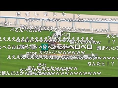 【コメ付き】JAPAN WORLD CUP 3 〜第4レースー3〜 (60FPS)