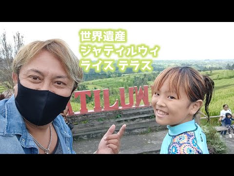 バリ島世界遺産 【ジャティルウィ ライス テラス】Jatiluwih Rice Terraces　Yeh Baat Ricepaddy Lodge