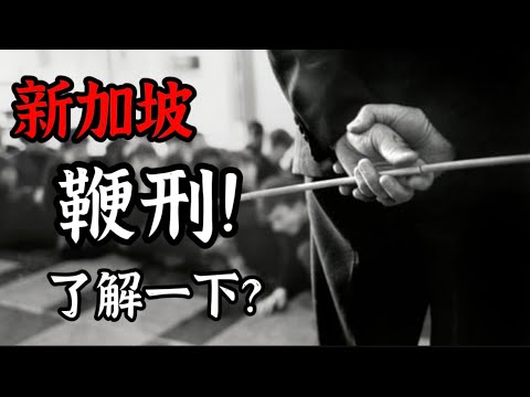 新加坡鞭刑一次打不完会“分期”吗？乱丢垃圾会被鞭刑？带你一次过了解新加坡鞭刑！