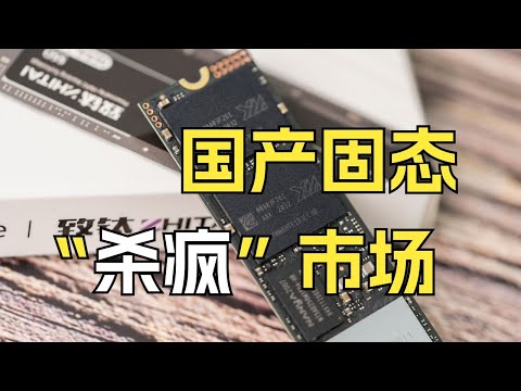 国外存储巨头的“遮羞布”，就这样被撕开【龙科多01】