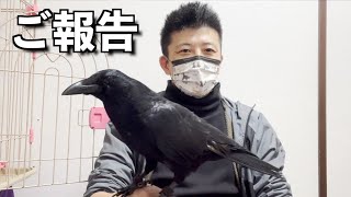 [事務所に所属する ようこそカラスのリキ]BitStarアカデミー所属になりました