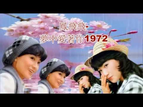 鳳飛飛-夢中愛著你vs愛你在夢中(台語國語)極品管味音質