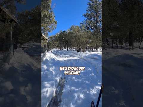 Today on the Homestead: Conquering 2 Feet of Snow | Shoveling Our Mountain Driveway #shorts