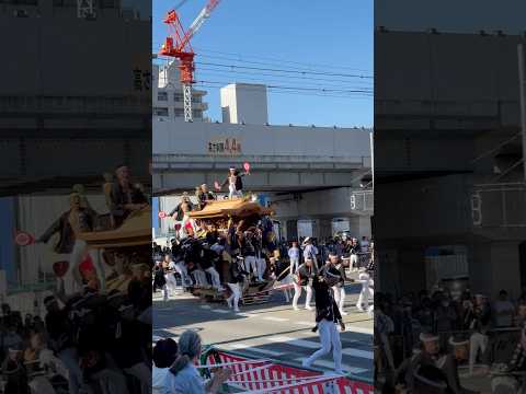 東岸和田だんじり祭　真上町やり回し　#だんじり祭　#祭り