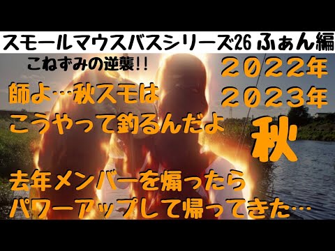 【川スモールマウスバス釣り　シリーズ26群馬編】10月11月に効く秋バス攻略!!爆風の中、ふぁふぁんにスモールの攻略を見せつけられた件