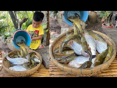 Have you ever cooked these fishes before? - Yummy river fish cooking - Chef Seyhak