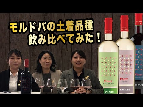 モルドバ　土着品種のワインを飲み比べてみた｜アグリワインチャンネル