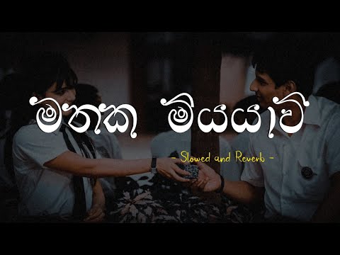 Mathaka Miyayawi | මතක මියයාවී (Slowed and Reverb) - Harry Ft Nova Xx