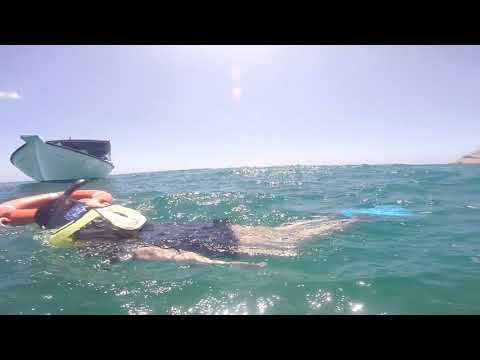 Seychelles Snorkel