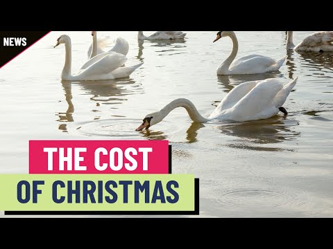 The true cost of the ’12 Days of Christmas’