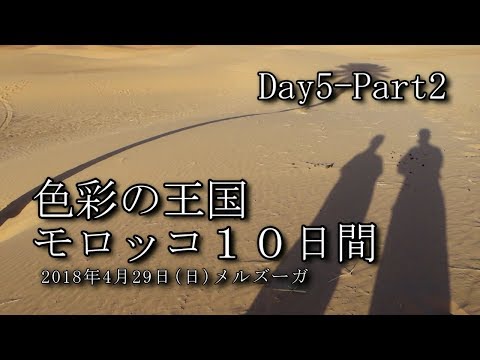 【モロッコ旅行 Day5-Part2】メルズーガ