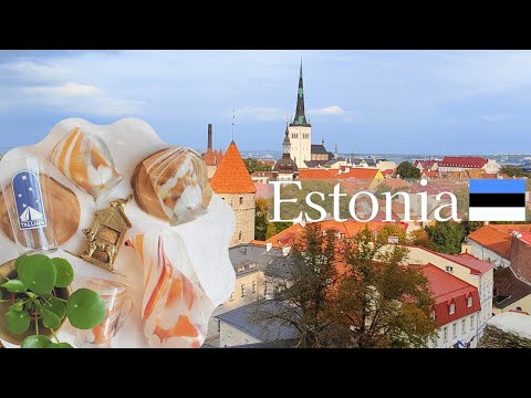 Antique shops in Estonia│Vintage│Shopping│Baltic countries│Haul│Trip Vlog