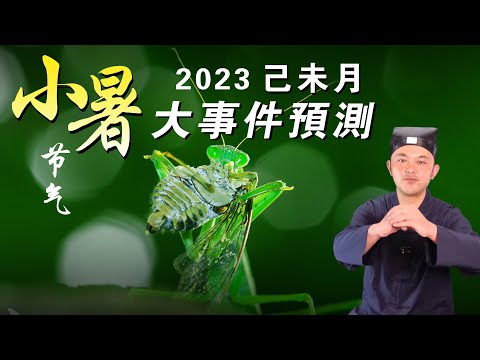 2023年小暑大預測,己未7月會出大事件？