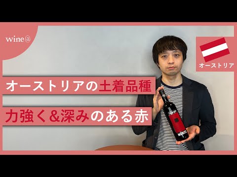 【オーストリア土着品種で造る力強い赤ワイン】モリッツ / ブラウフレンキッシュ グファンガ（オーストリア）