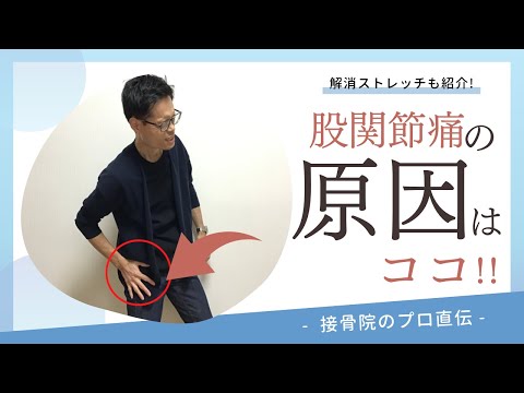 【股関節痛の対処法】股関節が痛くて、歩くのが辛い方へのストレッチ｜接骨院のプロが教えるお家セルフケア｜テラピスト接骨院