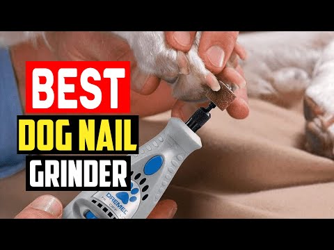 ✅Best dog nail grinder in 2023