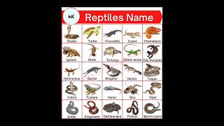 Reptiles Name in English#education #mk #shorts @learnwithnk5825