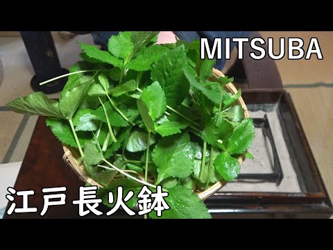 Hot-pot dish of Mitsuba (Japanese honeywort) and clam　[Japanese food at "NAGA-HIBACHI"]