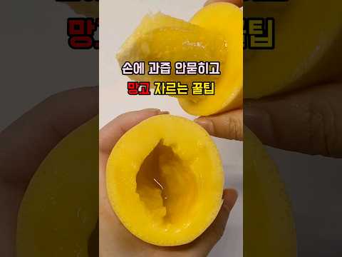 칼질 한번으로 망고 자르는 꿀팁 #망고자르는법