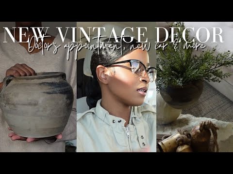 ALDI/POTTERY BARN reindeers dupe, vintage decor, doctors appt, new car & more...